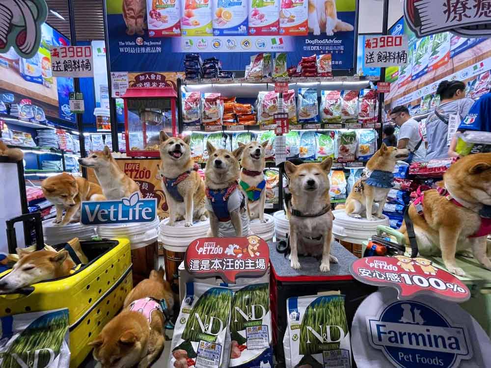 外勤筋斗雲 客戶案例 聯誠/聯信寵物